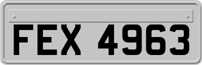 FEX4963