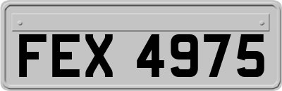 FEX4975