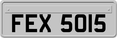 FEX5015