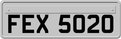 FEX5020