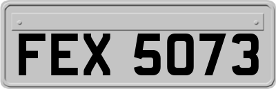 FEX5073