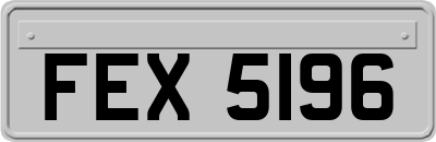 FEX5196