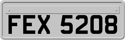 FEX5208