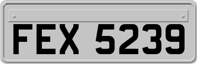 FEX5239