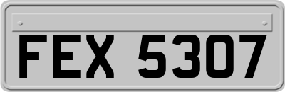 FEX5307