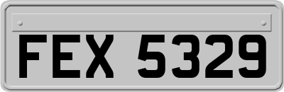 FEX5329