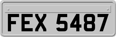 FEX5487