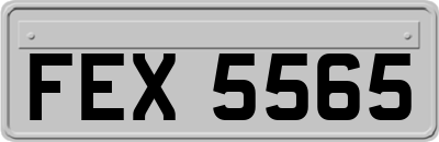 FEX5565