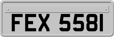 FEX5581