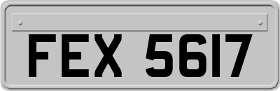 FEX5617