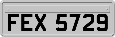FEX5729
