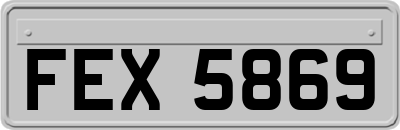 FEX5869