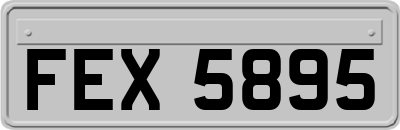 FEX5895