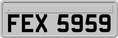 FEX5959