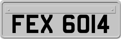 FEX6014