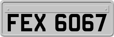 FEX6067
