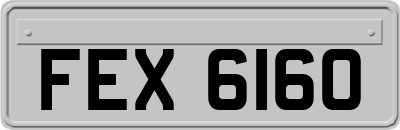FEX6160