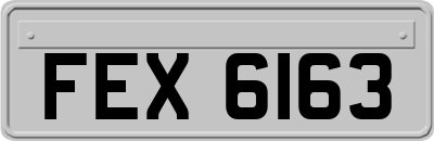 FEX6163