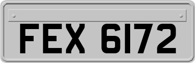FEX6172