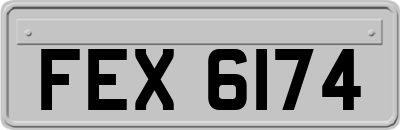 FEX6174