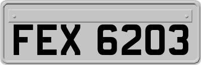 FEX6203