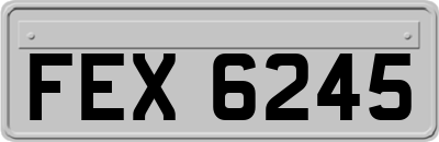 FEX6245
