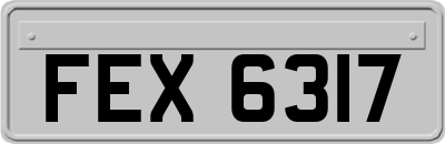 FEX6317