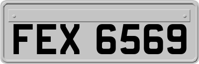 FEX6569