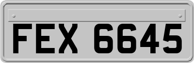 FEX6645