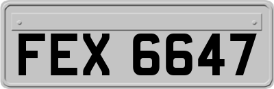 FEX6647
