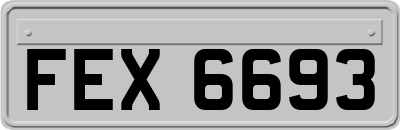 FEX6693