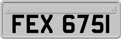 FEX6751