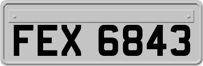 FEX6843
