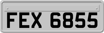 FEX6855