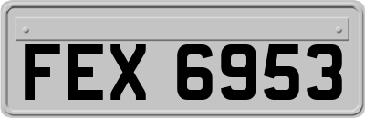 FEX6953