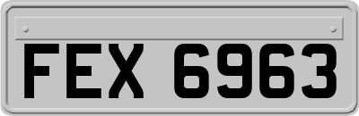 FEX6963