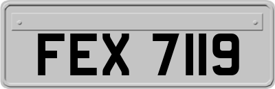 FEX7119