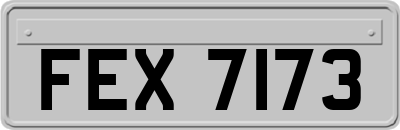 FEX7173