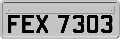 FEX7303