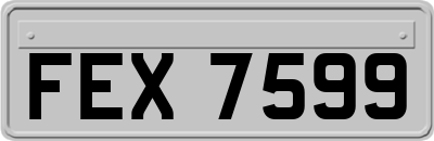 FEX7599
