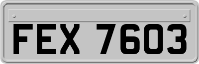 FEX7603