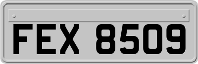 FEX8509
