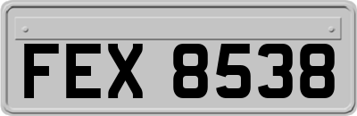 FEX8538