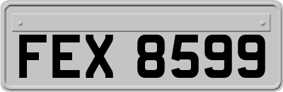 FEX8599