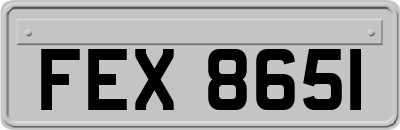 FEX8651