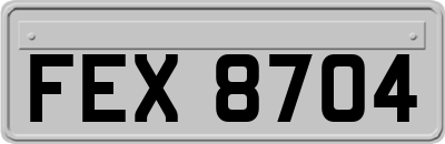 FEX8704