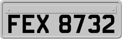 FEX8732
