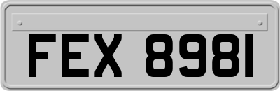 FEX8981