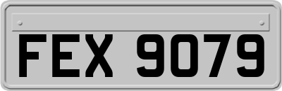 FEX9079