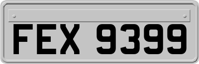 FEX9399